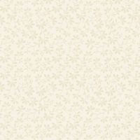 mfR022435D Cream